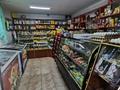 Магазины и бутики • 40 м² за 50 млн 〒 в Бурабае — фото 9