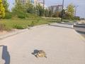 1-комнатная квартира · 37 м² · 4/9 этаж, ​База отдыха Теплый пляж 120 — Rixos, TetysBlu за ~ 17.8 млн ₸ в Актау — фото 7
