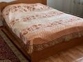 Дом · 3 комнаты · 100 м², мкр Думан-1 20 — Қазыгурт за 20 000 〒 в Алматы, Медеуский р-н — фото 4