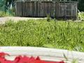 Дом · 3 комнаты · 96 м², Ключевая 60А — Аблакетка за 45 000 ₸ в Усть-Каменогорске — фото 2