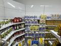Дүкендер мен бутиктер · 100 м², бағасы: 500 000 ₸ в Алматы, Наурызбайский р-н — фото 13