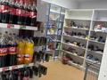 Дүкендер мен бутиктер · 100 м², бағасы: 500 000 ₸ в Алматы, Наурызбайский р-н — фото 19