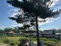 Отдельный дом · 3 комнаты · 51 м² · 10 сот., ул. Бажова 582 за 16 млн ₸ в Усть-Каменогорске — фото 27