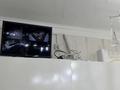 Жеке үй · 4 бөлме · 150 м² · 800 жүзд., Ынтымақ ш/а, Аккурай 39, бағасы: 65.7 млн ₸ в Шымкенте, Абайский р-н — фото 12