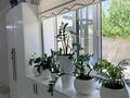 Жеке үй · 4 бөлме · 150 м² · 800 жүзд., Ынтымақ ш/а, Аккурай 39, бағасы: 65.7 млн ₸ в Шымкенте, Абайский р-н — фото 35