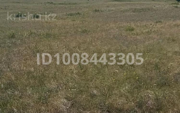 Жер телімі · 108 га, Ерейментау, бағасы: 6 млн ₸ — фото 2