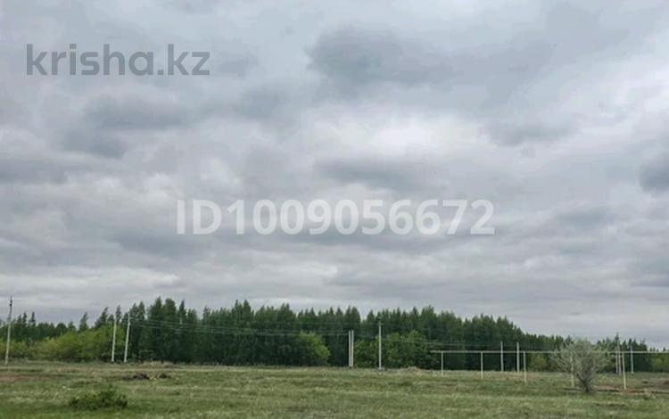 Жер телімі · 60 сотық, Аккайын, бағасы: 150 млн ₸ — фото 5