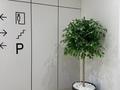 2-бөлмелі пәтер · 70 м² · 5/12 қабат, Ахмет Байтурсынулы 14/1, бағасы: 22 000 〒 в Астане, Сарайшык р-н — фото 29